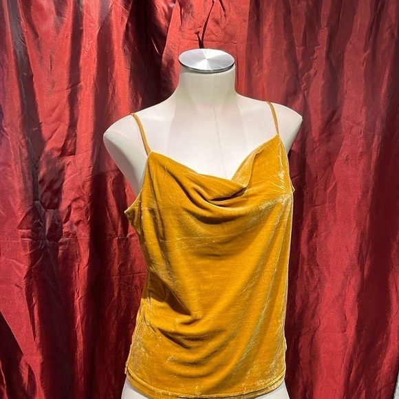 GOLD spaghetti strap velvet tank top B Y PAPARAZZI BIZ NWT - Picture 1 of 5